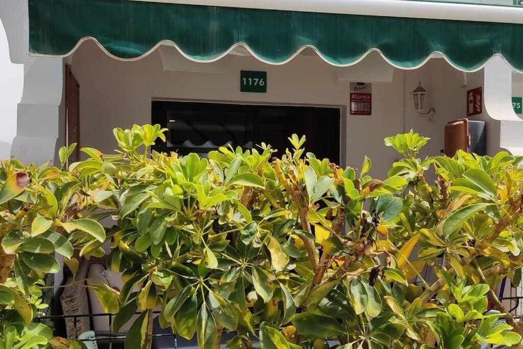 Raga Home - Bungalow With Swimming Pool In Maspalomas Maspalomas  Bagian luar foto